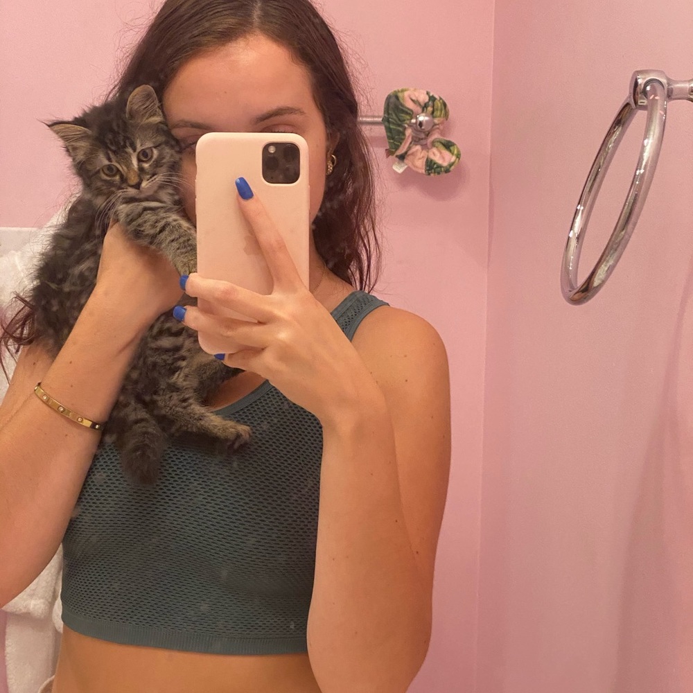 Meet your Posher, Hunter